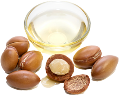 Argan-oil - Argan Oil Png (435x339), Png Download