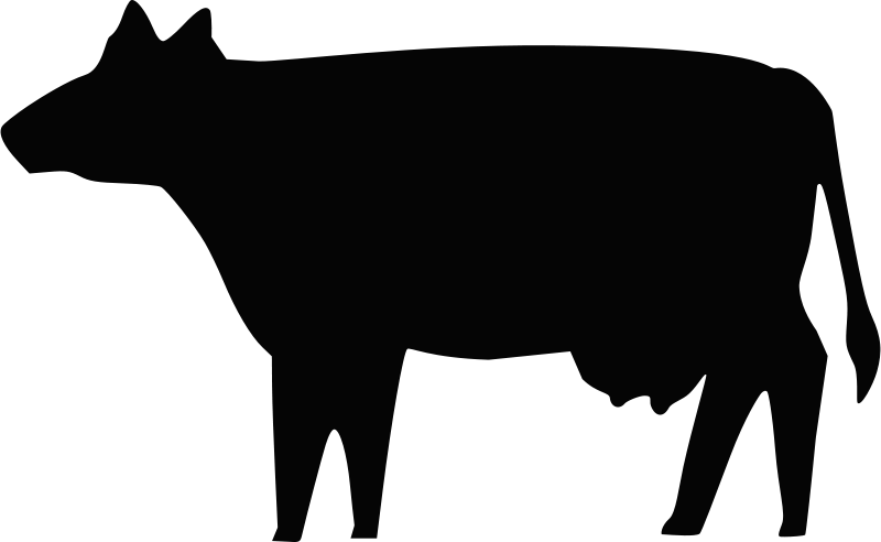 Cow Silhouette (600x370), Png Download