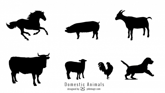 Vector Image Domestic Animal Png File - Horse (548x308), Png Download