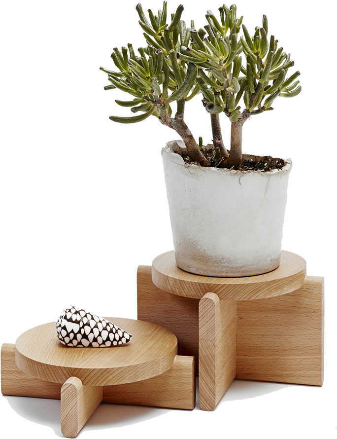 Pedestals-0 - Areaware - Plant Pedestal Set, Beech (1200x937), Png Download