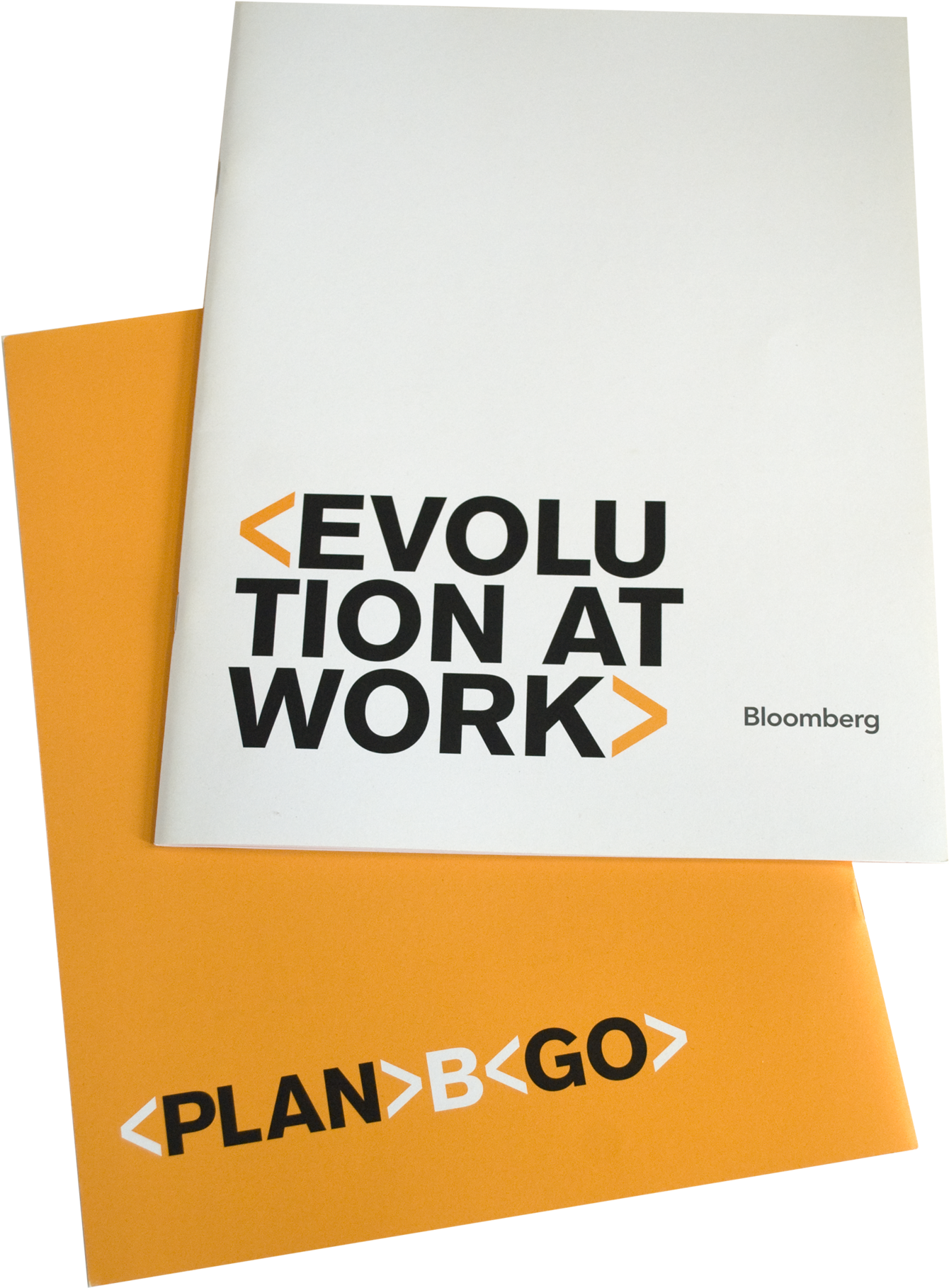 A Booklet Outlining Bloomberg's New Value System, Organizational - Paper (1600x2027), Png Download