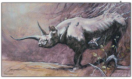 Gerti The Black Rhino Print - Rhinoceros (600x399), Png Download