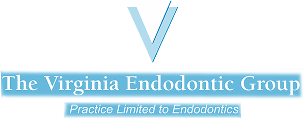 Link To The Virginia Endodontic Group Home Page - Virginia (600x240), Png Download
