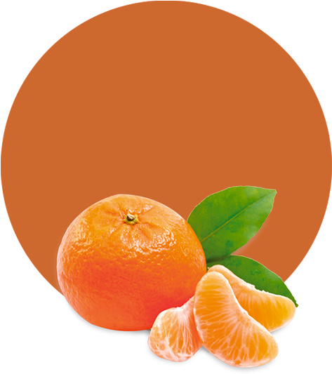 Com/wp Essential Oil - Shampoo Hempseed By The Wonder Seed (536x595), Png Download