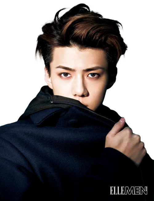 Sehun, Exo, And Exo-k Image - Sehun Black And White (500x653), Png Download