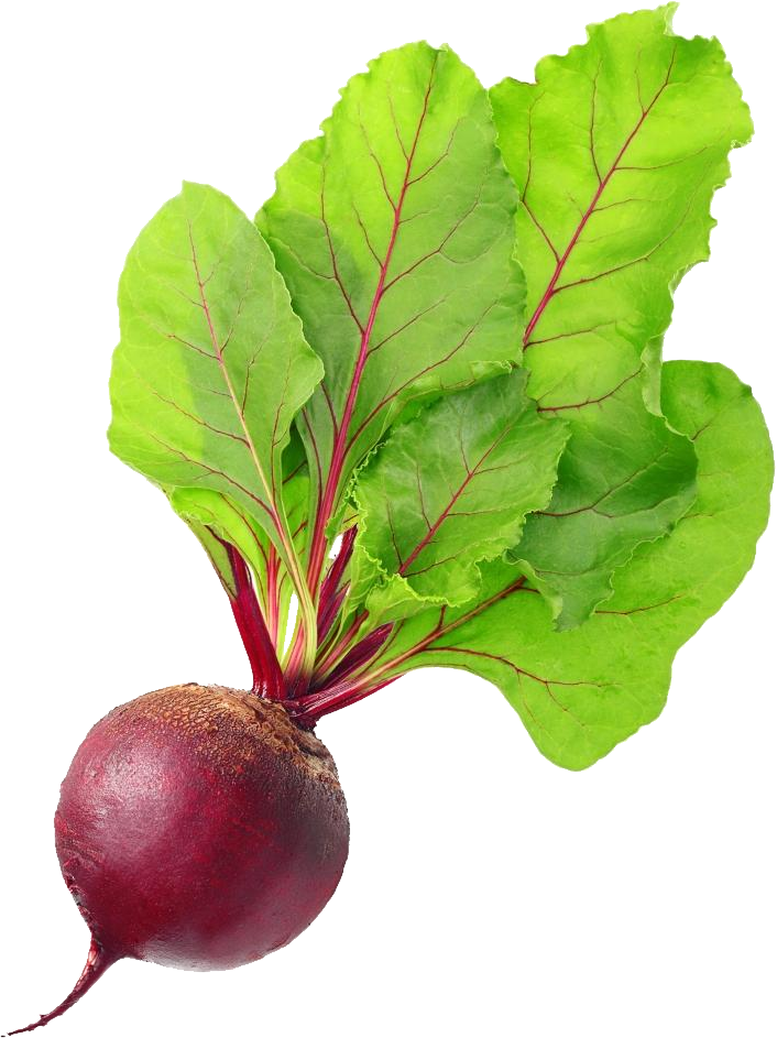 Beet Png (706x943), Png Download