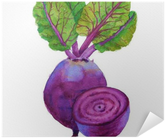 Beets With Leaves - Watercolor Painting (400x400), Png Download