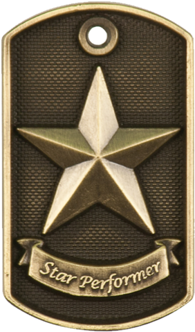 3d Antique Gold Dog Tags - Star Performer 3d Dog Tag Medal (600x600), Png Download