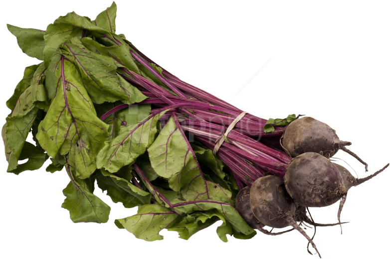 Download Fresh Beetroot Png Image - Vegetable (500x335), Png Download
