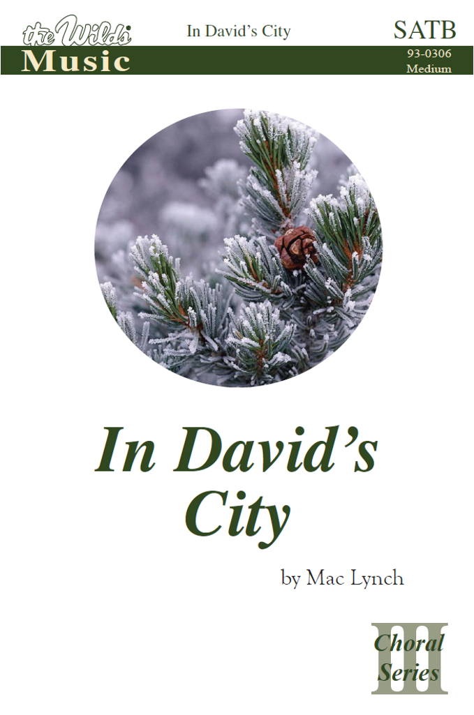 In David's City - Wishes You A Cookin Christmas (1024x1024), Png Download