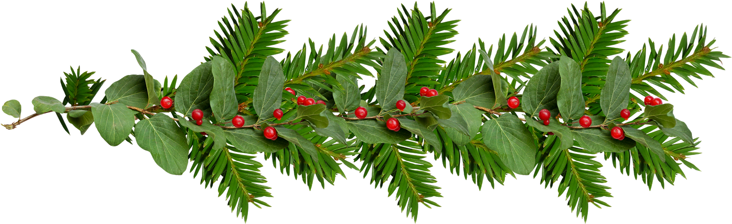 Marcos Gratis Para Fotos Scrap Navide U00f1o Scrap - Photography (1600x503), Png Download