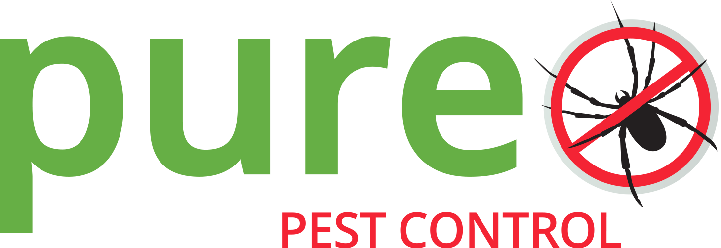 Info@pureservices - Nz - Music (1460x502), Png Download