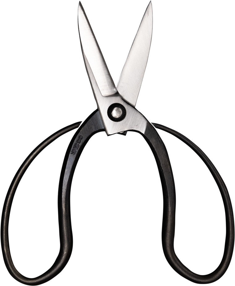 Morihei Kikuyu Kurouchi Okubo Pruning Shears 195mm - Cutting Tool (1024x1008), Png Download