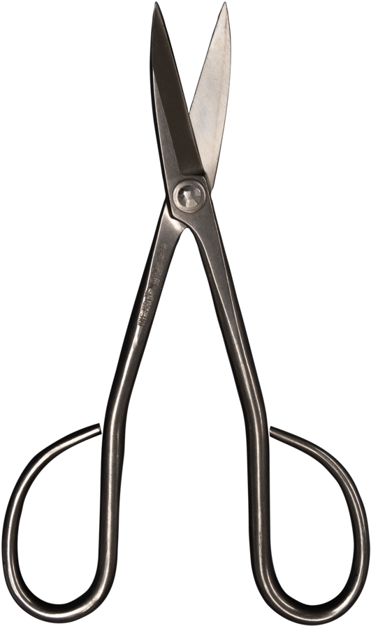 Morihei Kikuyu Stainless Koeda Twig Cut Pruning Shears - Scissors (818x1024), Png Download