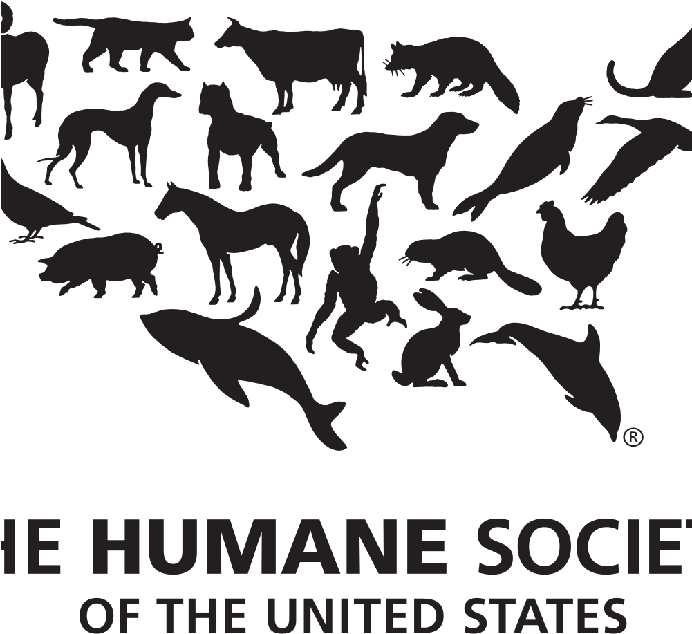 Cuddle Clones Donates $1000 To The Humane Society Of - Humane Society Of The United States (1000x956), Png Download
