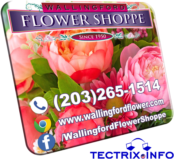 Wallingford Mouse Pad Design 2017 Perspective600 - Hybrid Tea Rose (600x544), Png Download