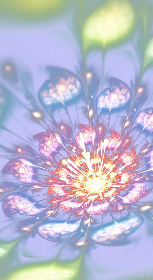 Background Crown Crownflower Flower Flowercrown Floral - Flower (491x900), Png Download