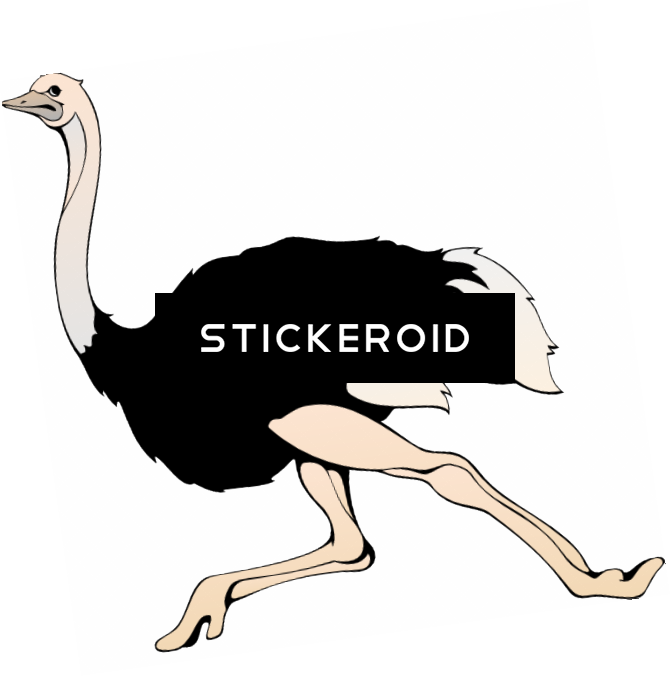 Ostrich Animals - Ostrich (670x676), Png Download