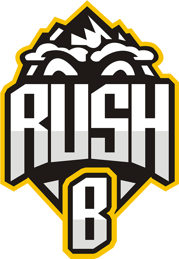 4920, Rush B - Rush B Dota 2 Team (1500x900), Png Download