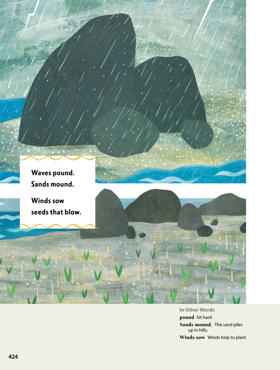 13 - Harbor Seal (911x1201), Png Download