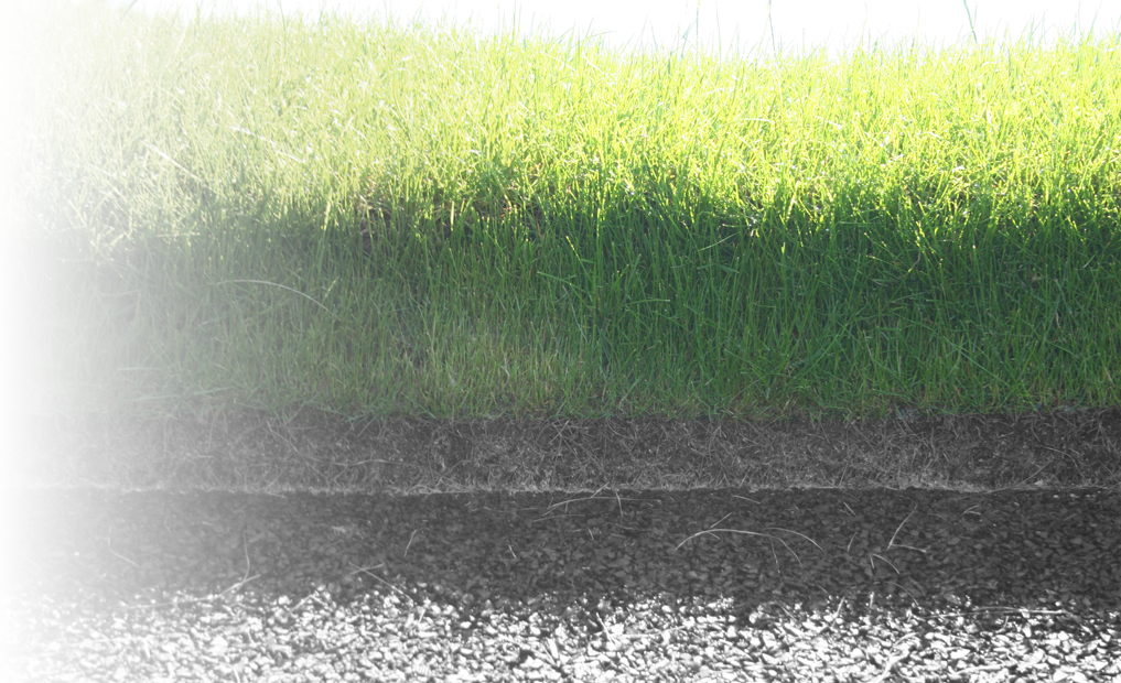 The Ultimate Solution For Your Problematic Bunkers - Lawn (1017x620), Png Download