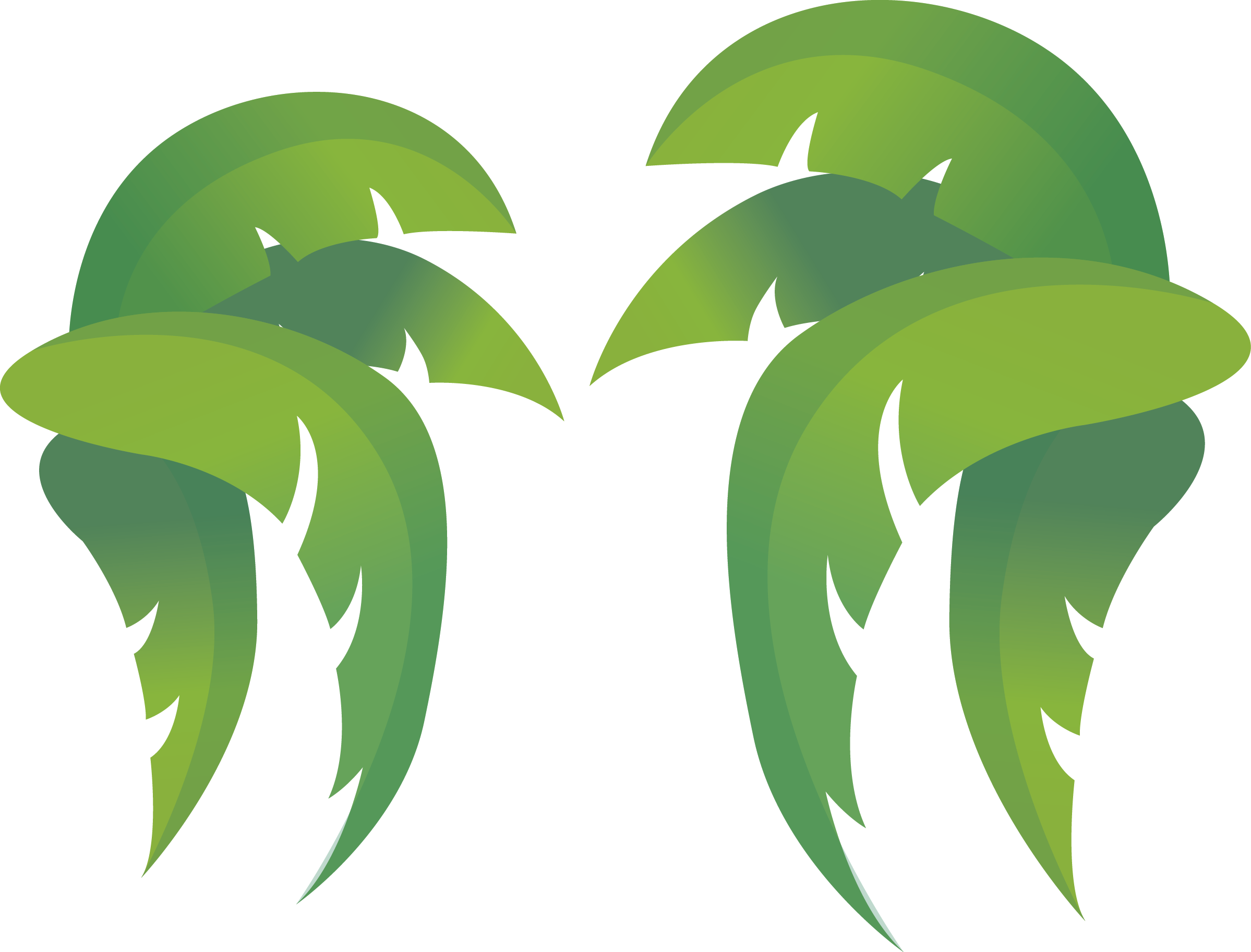 Leaves Clipart Plant Leave - Desenho Folha De Coqueiro (2398x1825), Png Download