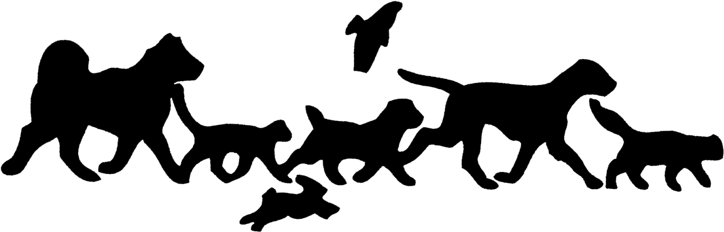 Animal Hospital (1500x487), Png Download