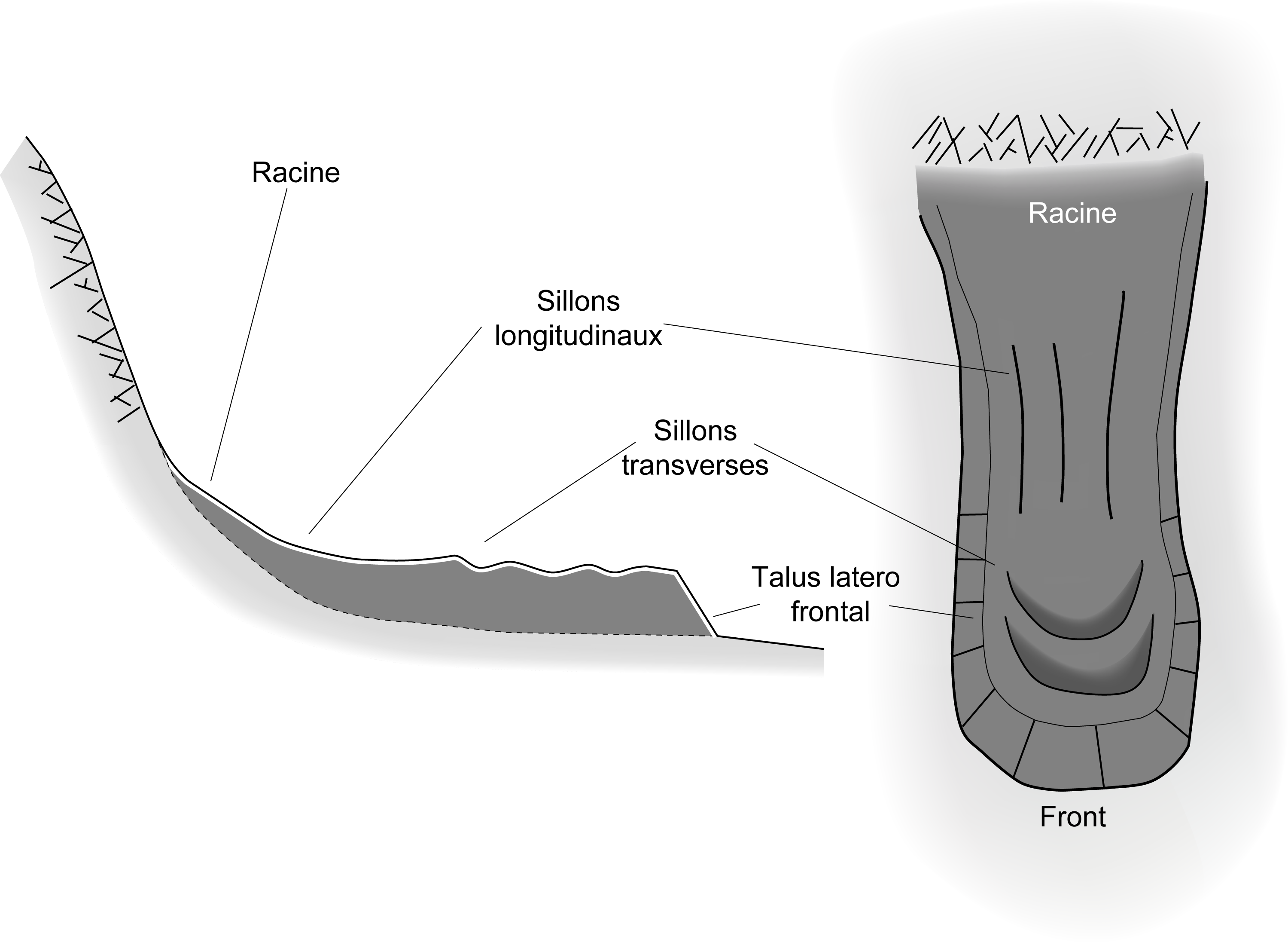 Schéma Glacier Rocheux Type - Glacier (2999x2192), Png Download