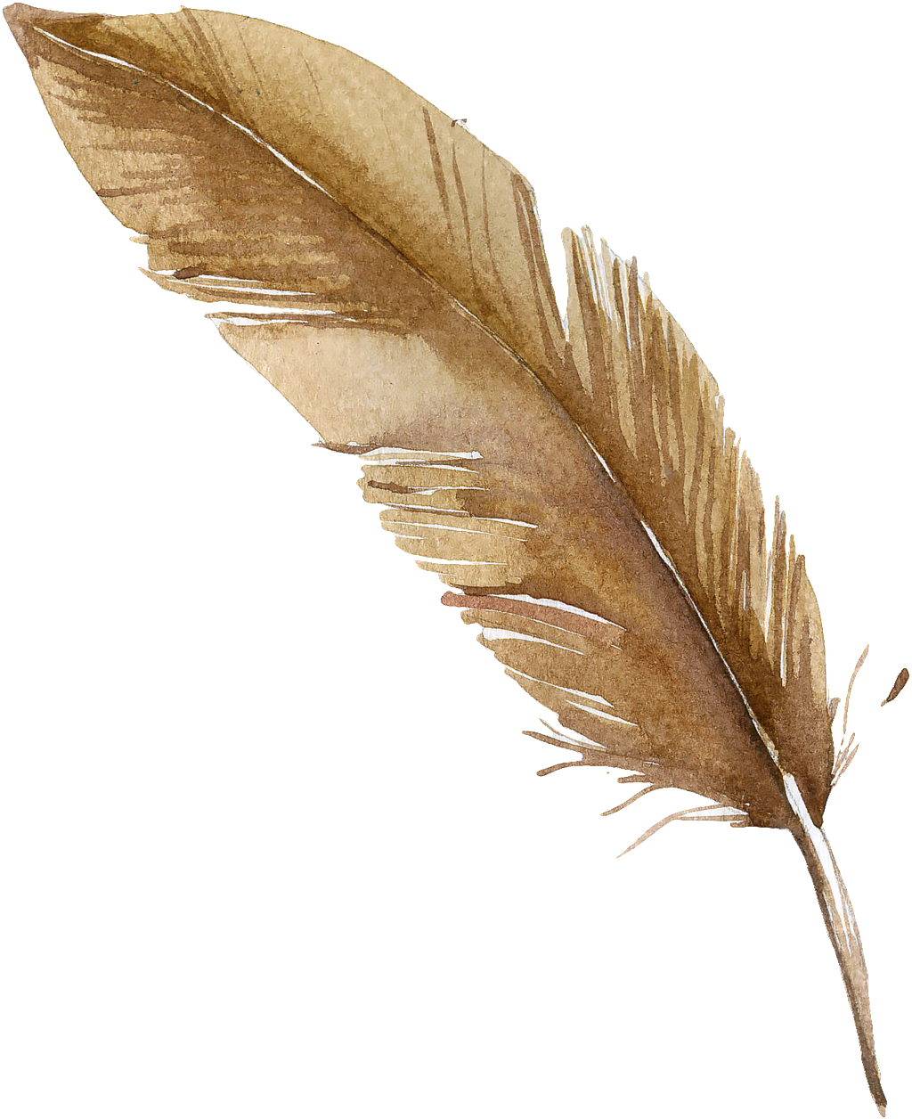 Brown Black Feather Cartoon Transparent - Portable Network Graphics (1024x1256), Png Download