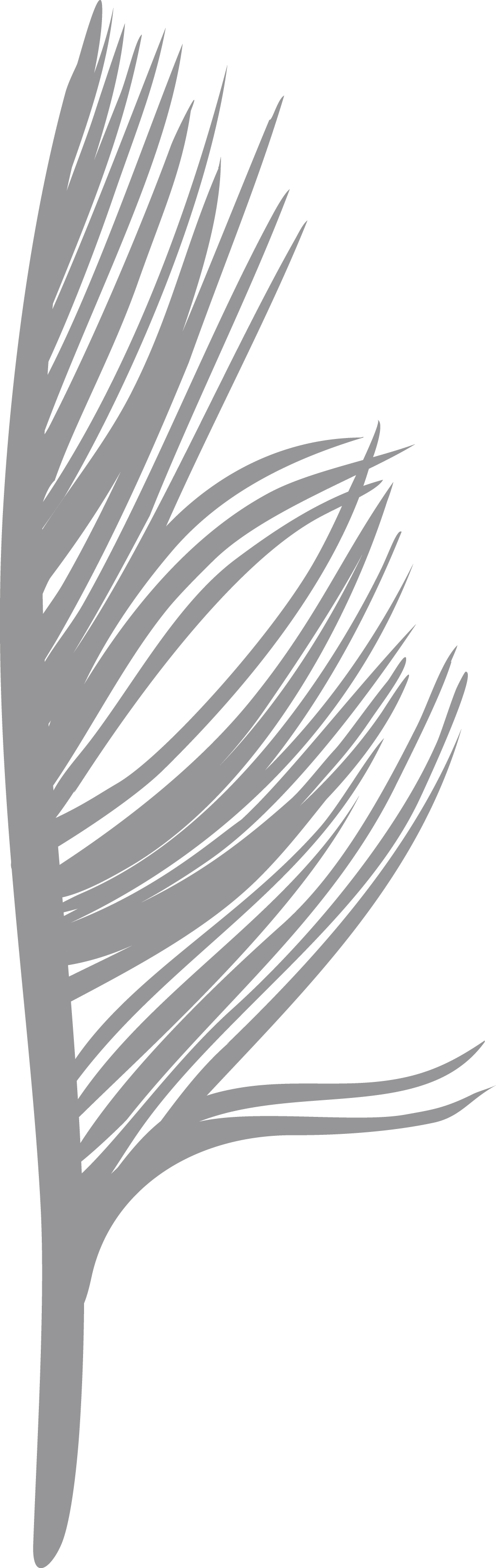 Feather Creative (1021x3229), Png Download