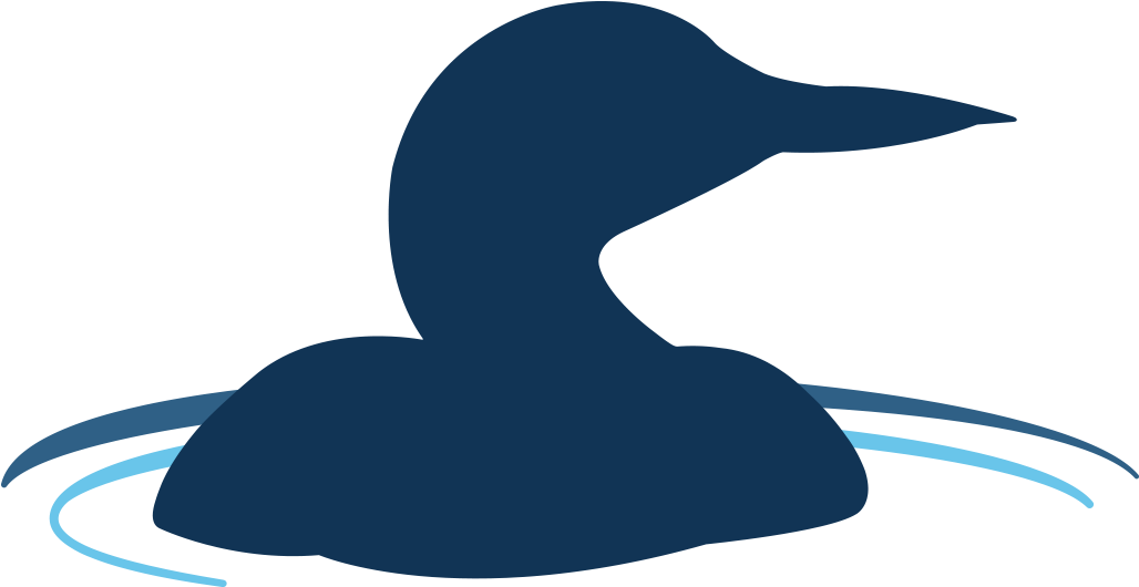 Lake Joseph North Association - Duck (1200x586), Png Download