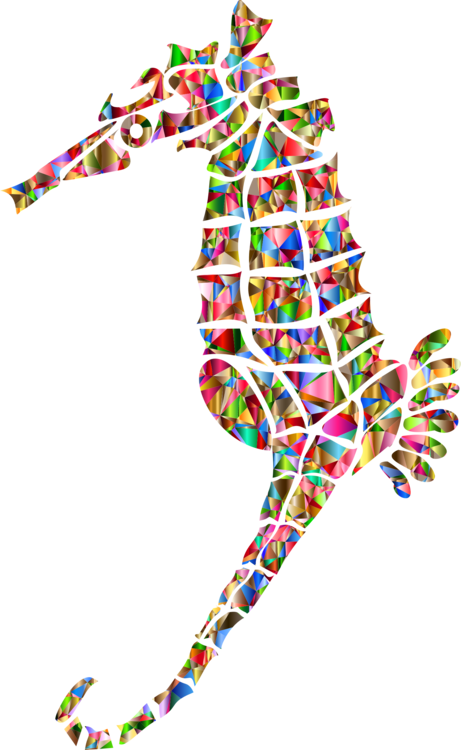 Tiger Tail Seahorse Pipefishes And Allies Computer - Seahorse (461x750), Png Download