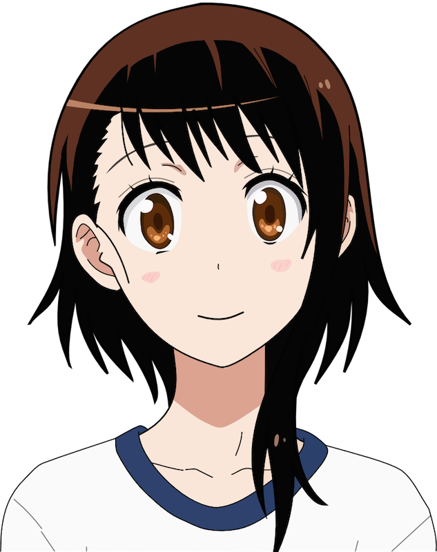 Definitely Lacking In Sparkles - Nisekoi Team Onodera (633x800), Png Download
