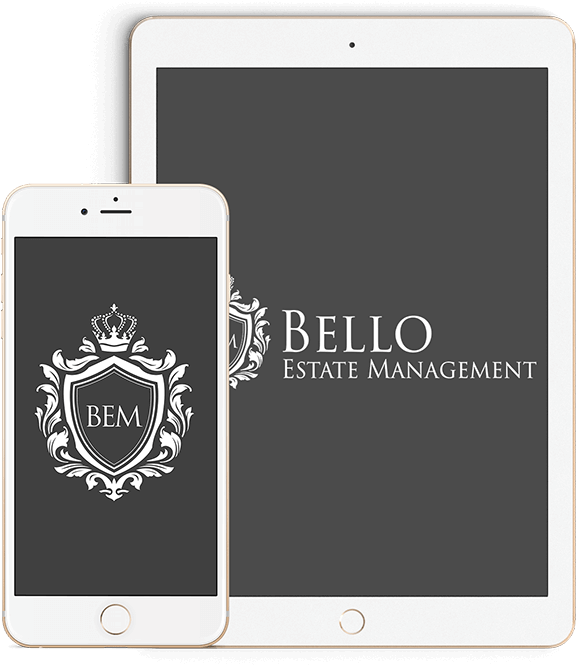 Apple Ipad Family (575x682), Png Download