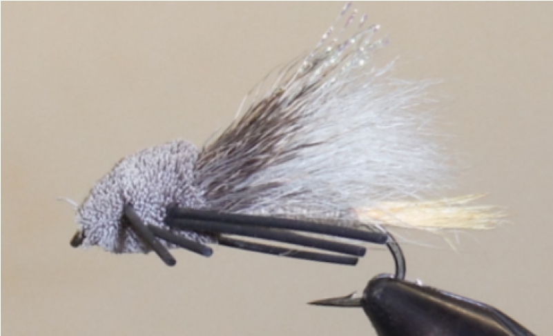 Tarantula - Tan - Insect (800x800), Png Download