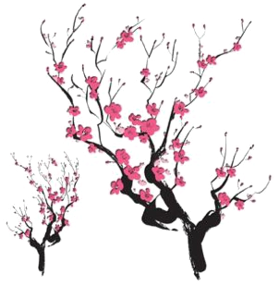 Japanese Designs Png Photos - Japanese Cherry Blossom Art Png (593x600), Png Download