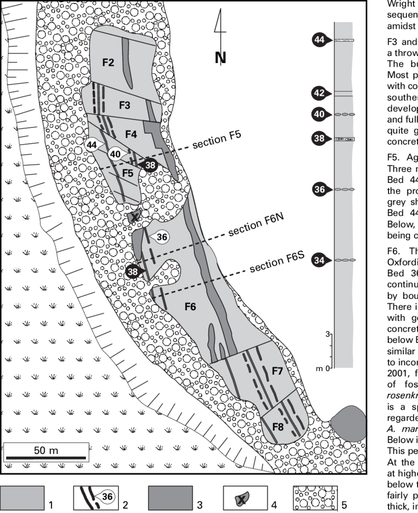 Geological Map Of The Beach At Flodigarry, Isle Of - Geology (850x1043), Png Download