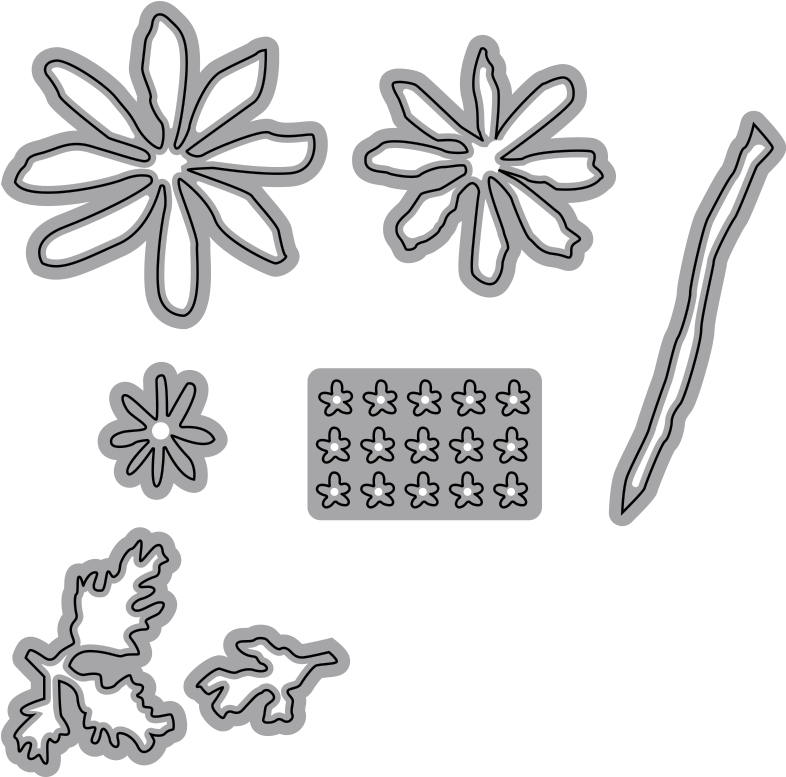 Grecian Windflower Garden Notes - Garden Notes Grecian Windflower (800x800), Png Download