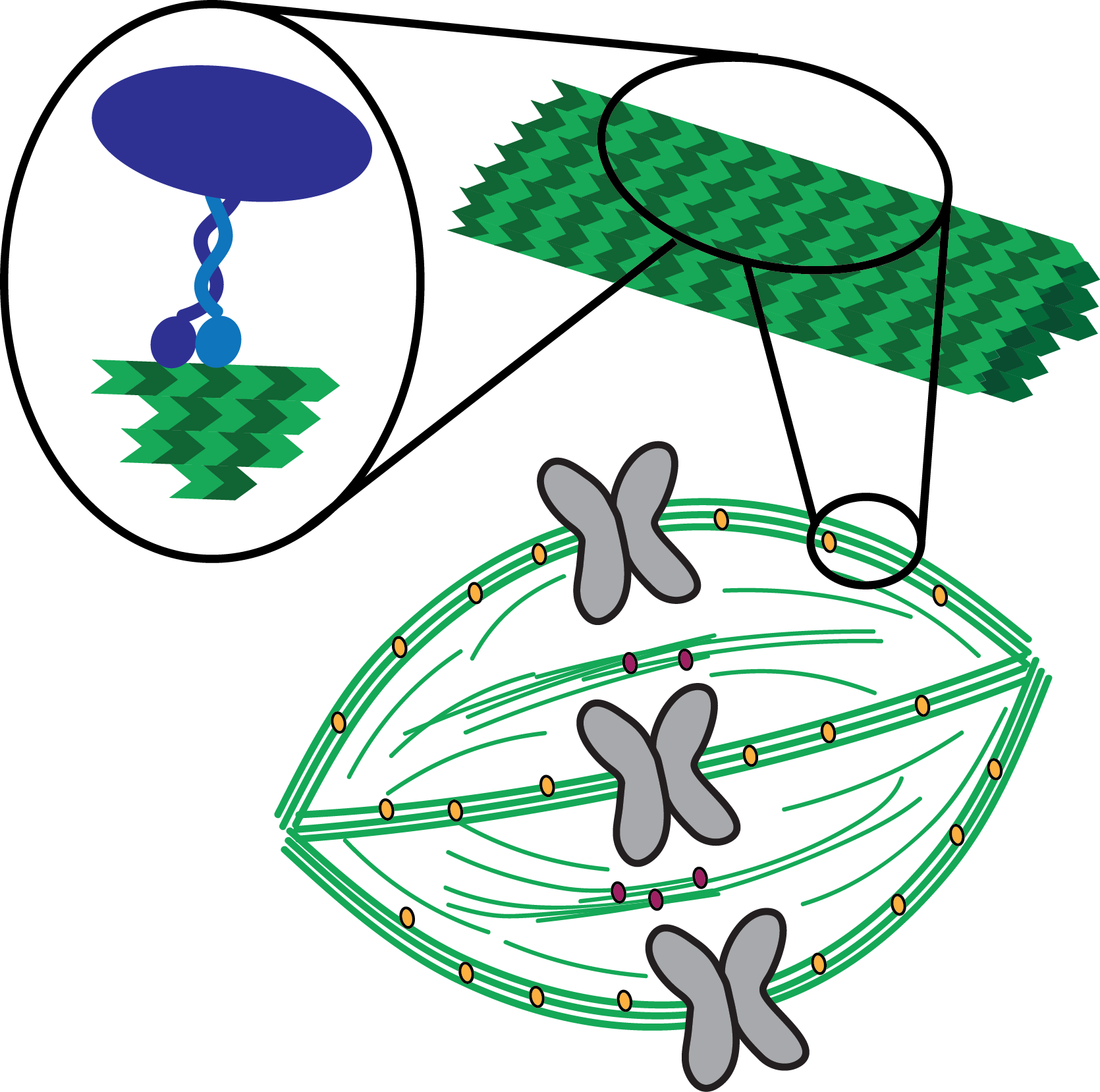 Elting Lab - Anchorage (1670x1658), Png Download