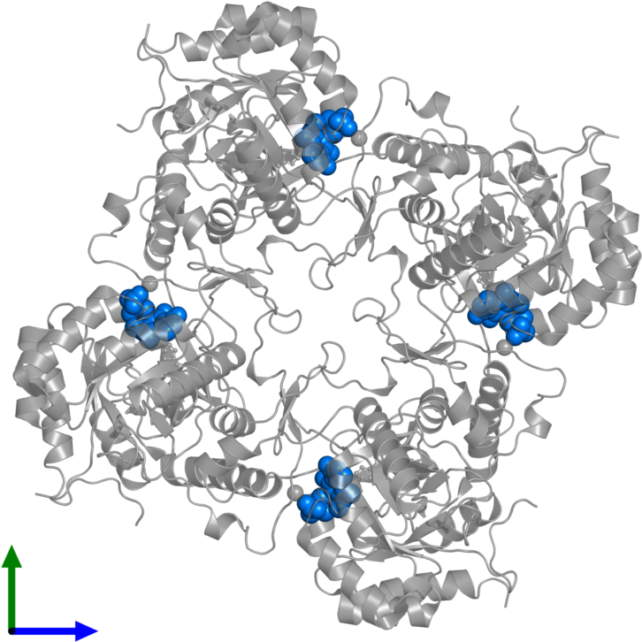 <div Class='caption-body'>pdb Entry 1mei Contains 4 - Bead (800x800), Png Download