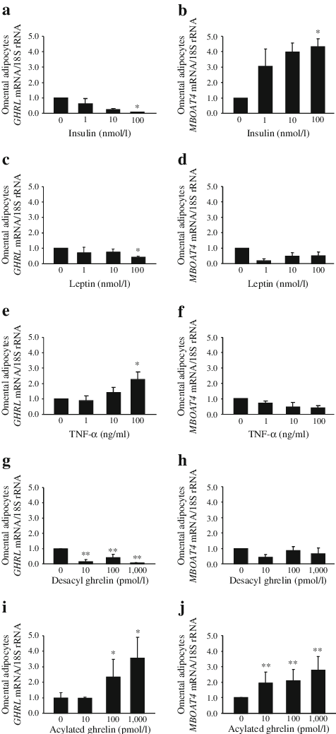Regulation Of Ghrelin And Goat Production In Human - Ghrelin O-acyltransferase (476x1039), Png Download