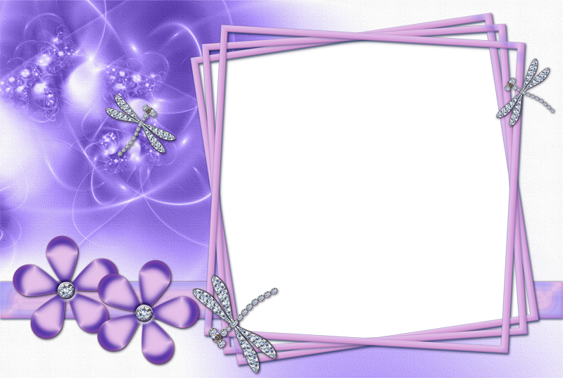 Изображение Для Плейкаста - Purple Quartz Crystal Synthetic Leather Bracelet Women's (800x537), Png Download