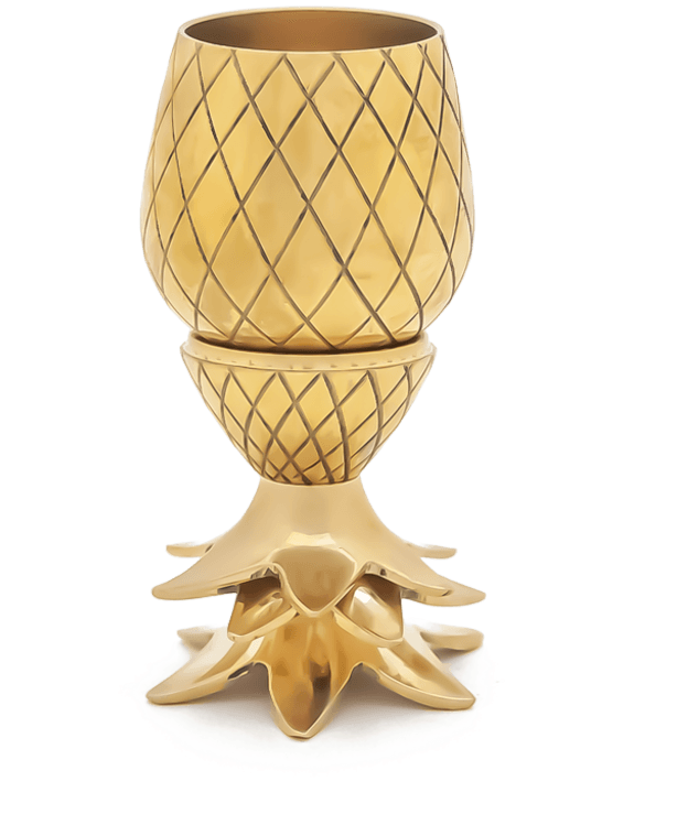 W&p Design Pineapple Shot Glass Set - Pineapple Tumbler 12oz (1024x1024), Png Download