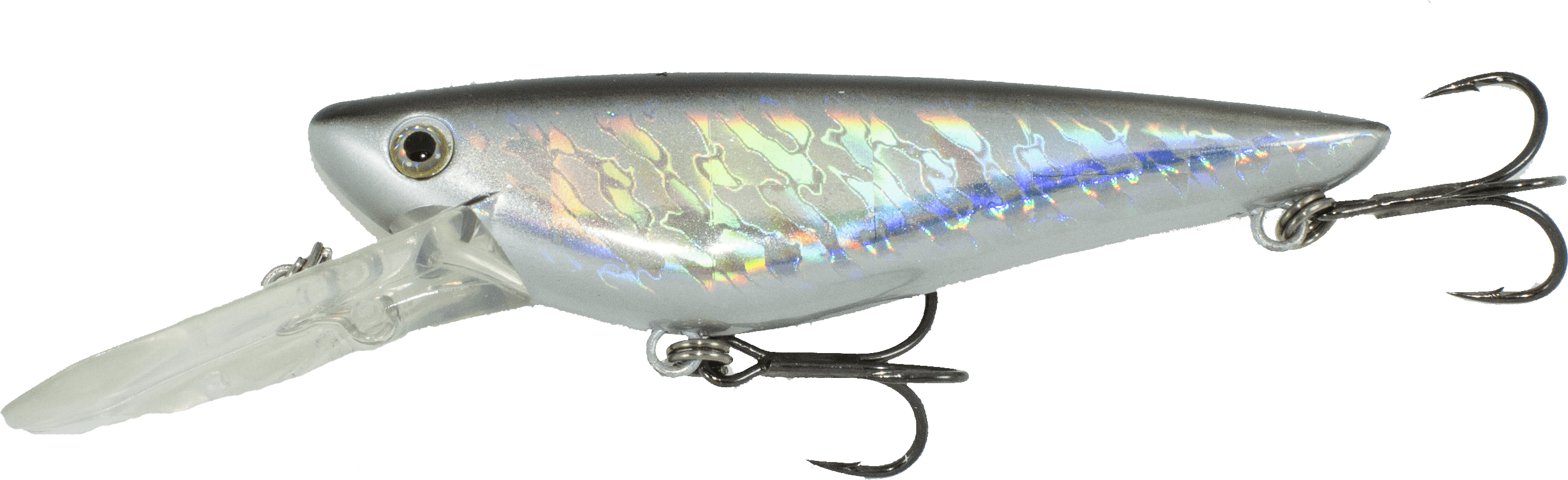 Black Holo - Bait Fish (3103x1010), Png Download