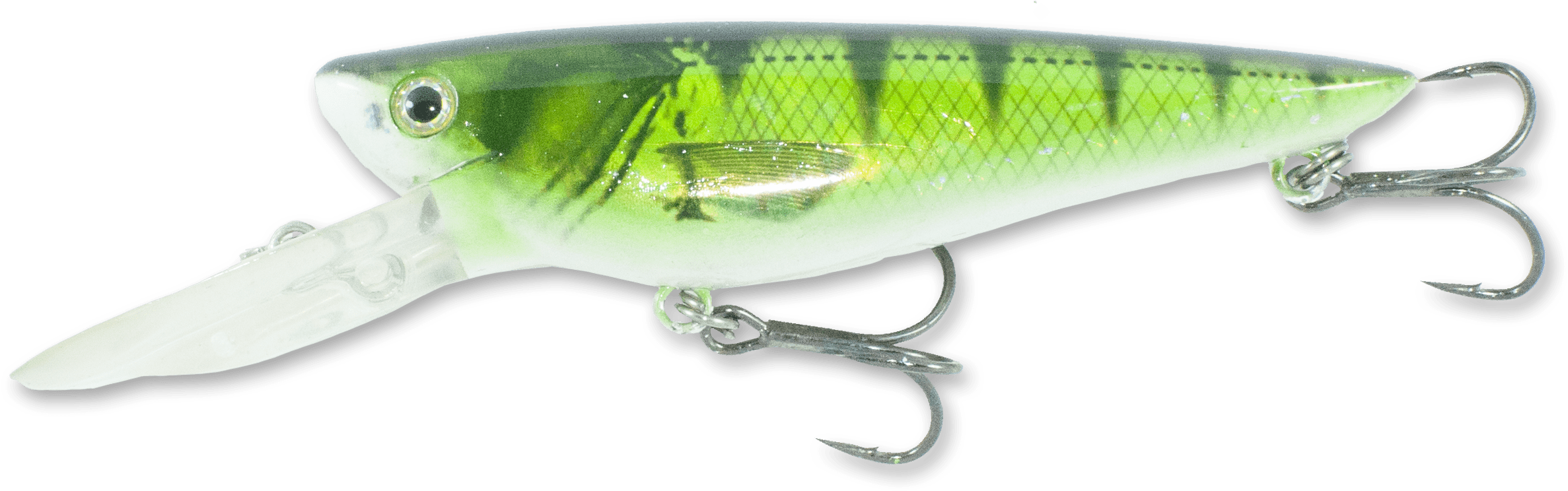 Holo Perch - Bait Fish (2552x847), Png Download