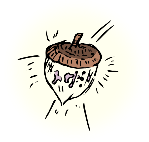 Acorn - Illustration (579x540), Png Download