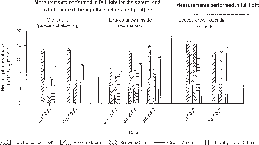 Effects Of Different Types Of Shelters On Net Leaf - Leaf (829x465), Png Download
