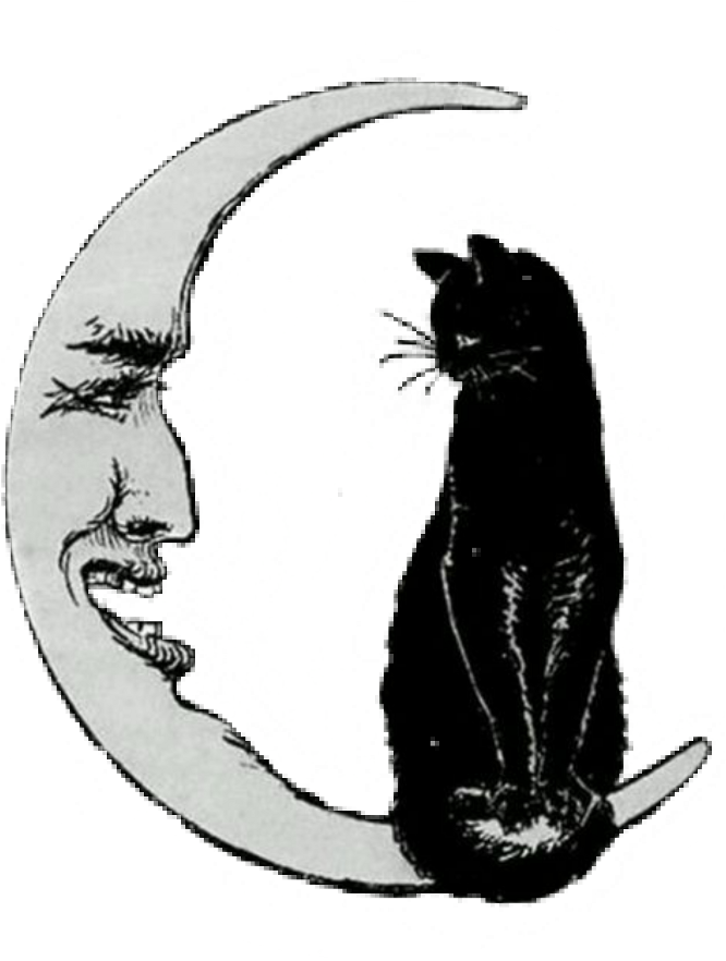 Blackcat Witchy Halloween Moon Vintagehalloween Freetoe - Cat On The Moon (1024x1024), Png Download