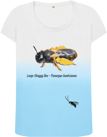 Blue Fade Large Shaggy Bee - Love (640x674), Png Download