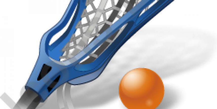 Lacrosse Stick (857x430), Png Download